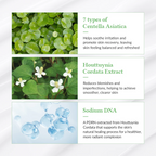 Dr. Althea Green Tea Fresh Sunscreen Dr. Althea