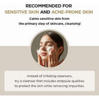 SKIN1004 Madagascar Centella Ampoule Foam, 125mL How To Apply