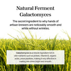 mixsoon Galactomyces Ferment Essence 100 mL Mixsoon