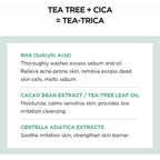 SKIN1004 Madagascar Centella Tea-Trica BHA Foam 4.22 fl.oz 125mL Skin1004