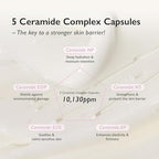 haruharu wonder black rice 5 ceramide barrier moisturizing cream 50ml 1.69 Fl.oz.