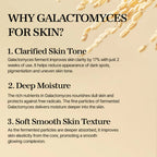 mixsoon Galactomyces Ferment Essence 100 mL Mixsoon