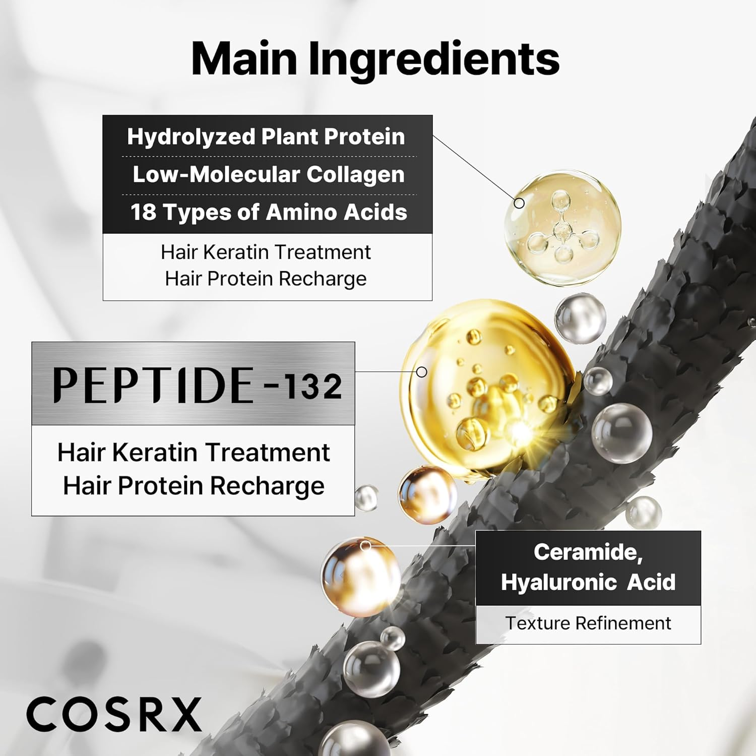 close-up of a single hair strand with 'main ingredients' labeled at the top