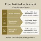 I'm From Mugwort Essence 160mL I'm from