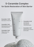 celimax Dual Barrier Skin Wearable Cream 50mL celimax