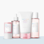SKIN1004 Perfect Pore Set Skin1004