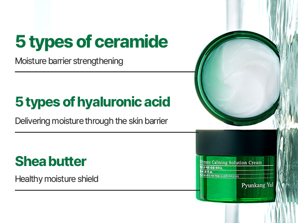 Pyunkang Yul Ultimate Calming Solution Cream 30 mL Pyunkang Yul