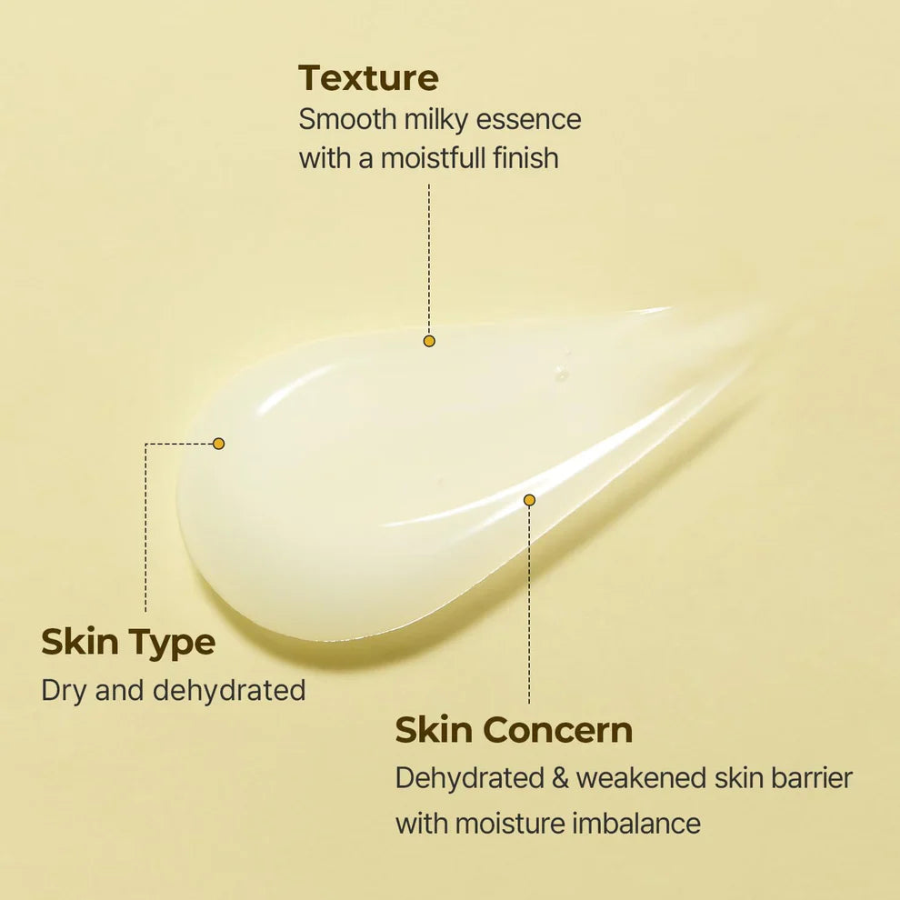 TORRIDEN Solid In Essence 100ml